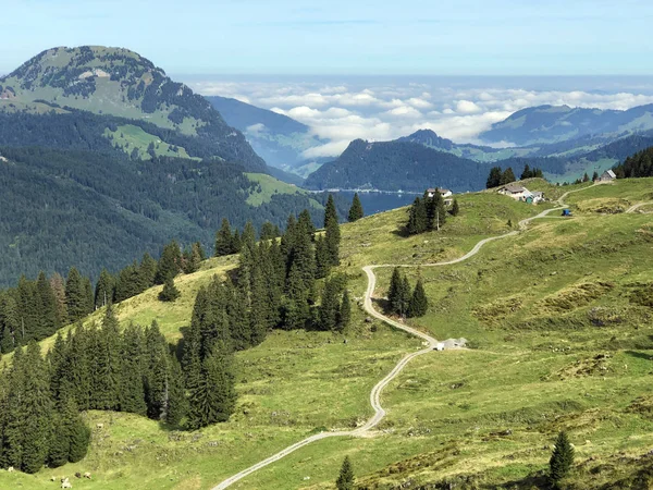ワギタル渓谷の高山牧草地と草原 ワギタルまたはウィジタル インナータール シュヴィーツ州 スイス — ストック写真