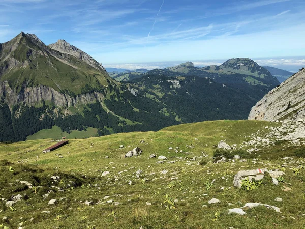 Pastagens Prados Alpinos Vale Wagital Waegital Wgital Innerthal Cantão Schwyz — Fotografia de Stock