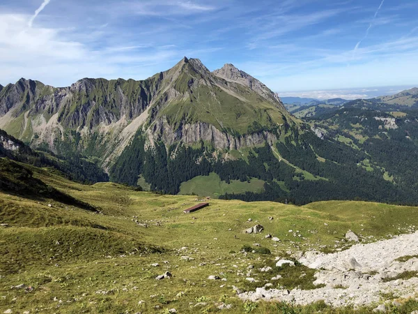 Alpine Pastures Grasslands Wagital Valley Waegital Wgital Innerthal Canton Schwyz — Stock Photo, Image