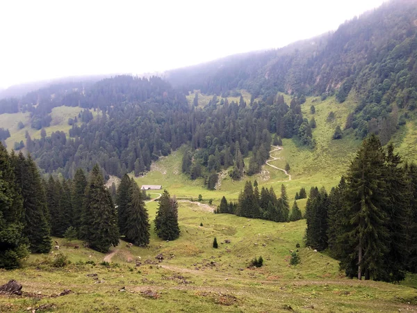 瓦吉塔尔山谷 瓦吉塔尔或Wgital 的阿尔卑斯牧场和草地 瑞士施维茨州 — 图库照片