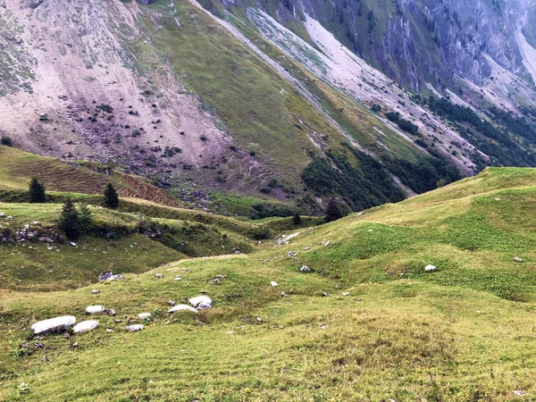 Pastwiska Alpejskie Łąki Dolinie Wagital Waegital Lub Wgital Innerthal Kanton — Zdjęcie stockowe