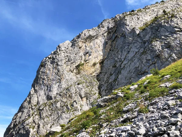 瓦吉塔尔山谷 瓦吉塔尔 和高山瓦吉塔勒湖 瓦吉塔勒湖 上方的穆特里贝格山 瑞士施维茨州 — 图库照片