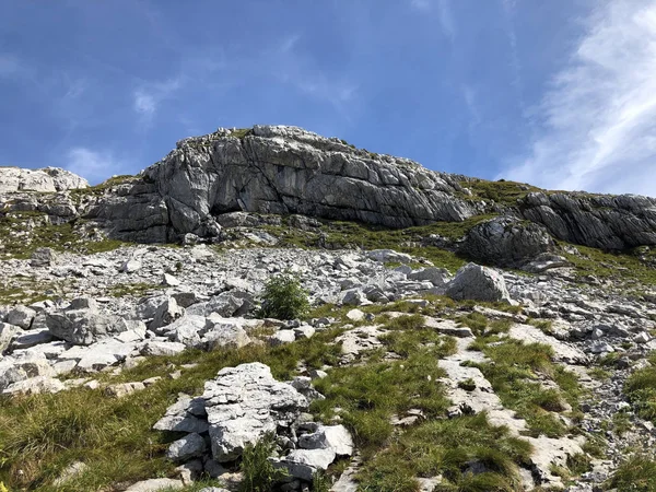 ワギタル渓谷 ワギタル と高山のワギタレルゼー ワギタレルゼー の上のランドチョップフ山 インナータール シュヴィーツ州 スイス — ストック写真