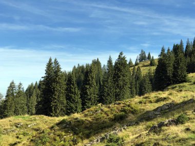 Wagital vadisi (Waegital) ve alp gölü Wagitalersee (Waegitalersee), Innerthal - Kakton Schwyz, İsviçre yamaçlarında Evergreen veya iğne yapraklı ormanlar