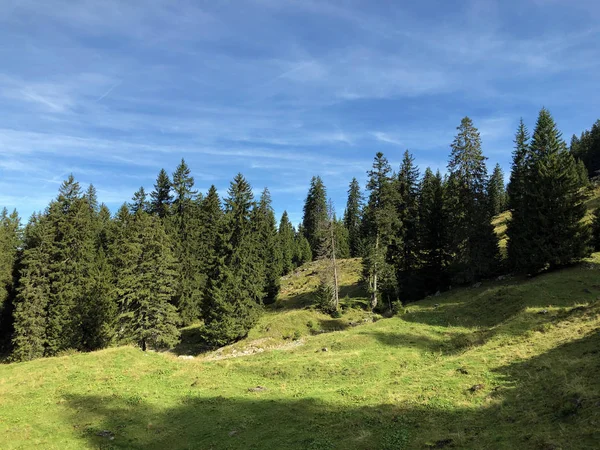 Florestas Perenes Coníferas Nas Encostas Vale Wagital Waegital Lago Alpino — Fotografia de Stock
