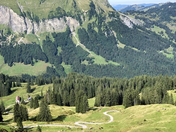 Örökzöld Vagy Tűlevelű Erdők Wagital Völgy Waegital Alpine Wagitalersee Waegitalersee — Stock Fotó
