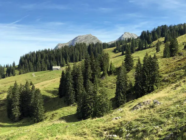 瓦吉塔尔山谷 瓦吉塔尔 和高山瓦吉塔勒湖 瓦吉塔勒湖 的山坡上的常绿或针叶林 瑞士施维茨州 — 图库照片