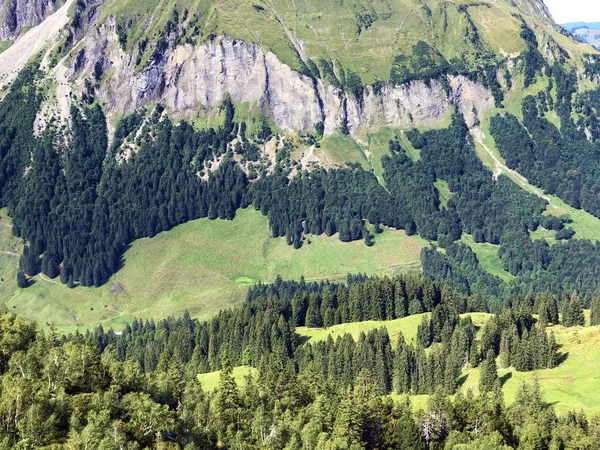 Florestas Perenes Coníferas Nas Encostas Vale Wagital Waegital Lago Alpino — Fotografia de Stock