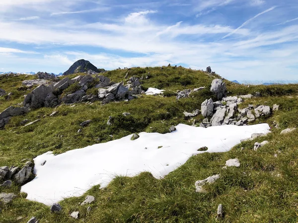 Швидке Танення Снігу Через Глобальне Потепління Швейцарських Альпах Інденталь Кантоні — стокове фото