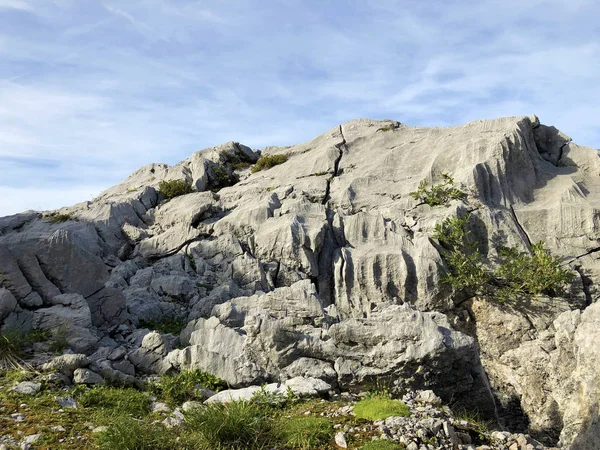 Pierres Rochers Massif Montagneux Des Alpes Glaris Région Touristique Glarnerland — Photo