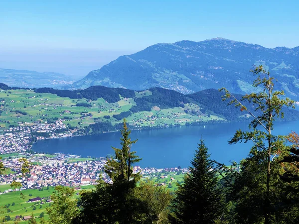 Vue Lac Des Quatre Cantons Lac Vierwaldstaetersee Vierwaldstattersee Des Alpes — Photo