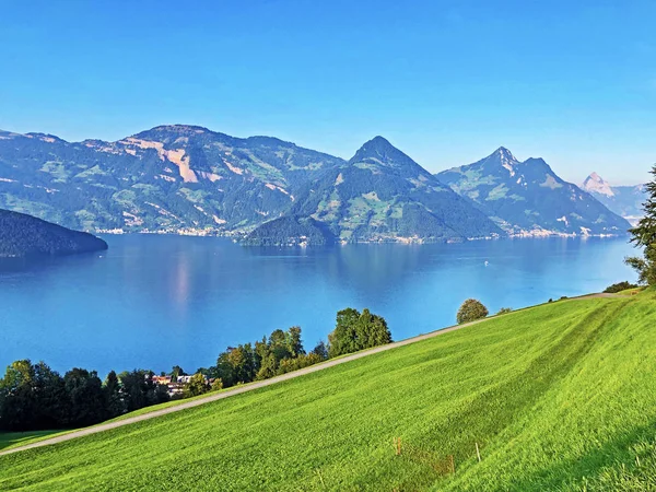 Vista Lago Lucerna Lago Vierwaldstaetersee Vierwaldstattersee Dos Alpes Suíços Fundo — Fotografia de Stock