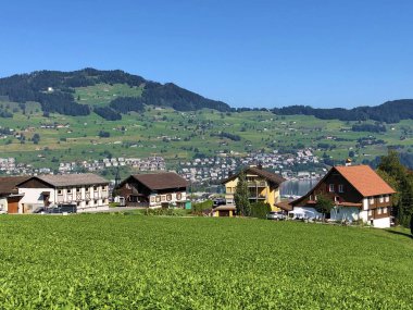 Lucerne Gölü veya Vierwaldstaetersee Gölü (Vierwaldstattersee) ve Buochserhorn dağının altında İsviçre Alpleri'nin yamaçlarında geleneksel mimari ve çiftlik evleri - İsviçre
