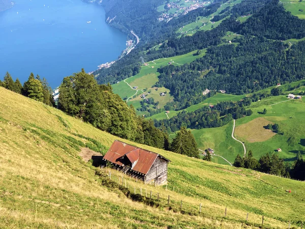 Traditionelle Architektur Und Bauernhäuser Den Hängen Der Schweizer Alpen Vierwaldstätersee — Stockfoto