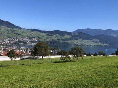 Buochserhorn dağının yamaçlarında ve Lucerne gölü veya Vierwaldstaetersee gölü (Vierwaldstattersee), Buochs - Nidwalden Kantonu, İsviçre'nin eteklerindeki alp otlatı ve otlakları