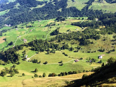 Buochserhorn dağının yamaçlarında ve Lucerne gölü veya Vierwaldstaetersee gölü (Vierwaldstattersee), Buochs - Nidwalden Kantonu, İsviçre'nin eteklerindeki alp otlatı ve otlakları
