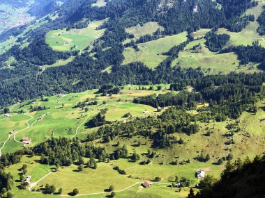 Buochserhorn dağının yamaçlarında ve Lucerne gölü veya Vierwaldstaetersee gölü (Vierwaldstattersee), Buochs - Nidwalden Kantonu, İsviçre'nin eteklerindeki alp otlatı ve otlakları