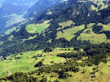 Buochserhorn dağının yamaçlarında ve Lucerne gölü veya Vierwaldstaetersee gölü (Vierwaldstattersee), Buochs - Nidwalden Kantonu, İsviçre'nin eteklerindeki alp otlatı ve otlakları