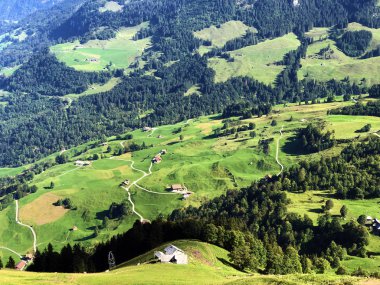 Buochserhorn dağının yamaçlarında ve Lucerne gölü veya Vierwaldstaetersee gölü (Vierwaldstattersee), Buochs - Nidwalden Kantonu, İsviçre'nin eteklerindeki alp otlatı ve otlakları