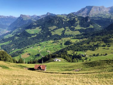 Buochserhorn dağının yamaçlarında ve Lucerne gölü veya Vierwaldstaetersee gölü (Vierwaldstattersee), Buochs - Nidwalden Kantonu, İsviçre'nin eteklerindeki alp otlatı ve otlakları