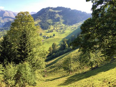 Buochserhorn dağının yamaçlarında ve Lucerne gölü veya Vierwaldstaetersee gölü (Vierwaldstattersee), Buochs - Nidwalden Kantonu, İsviçre'nin eteklerindeki alp otlatı ve otlakları
