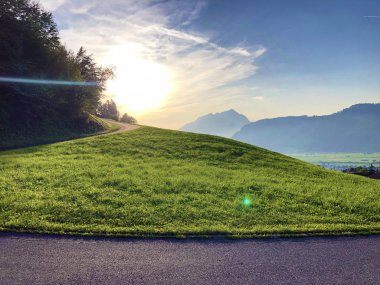 Buochserhorn dağının yamaçlarında ve Lucerne gölü veya Vierwaldstaetersee gölü (Vierwaldstattersee), Buochs - Nidwalden Kantonu, İsviçre'nin eteklerindeki alp otlatı ve otlakları
