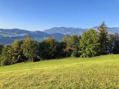 Buochserhorn dağının yamaçlarında ve Lucerne gölü veya Vierwaldstaetersee gölü (Vierwaldstattersee), Buochs - Nidwalden Kantonu, İsviçre'nin eteklerindeki alp otlatı ve otlakları
