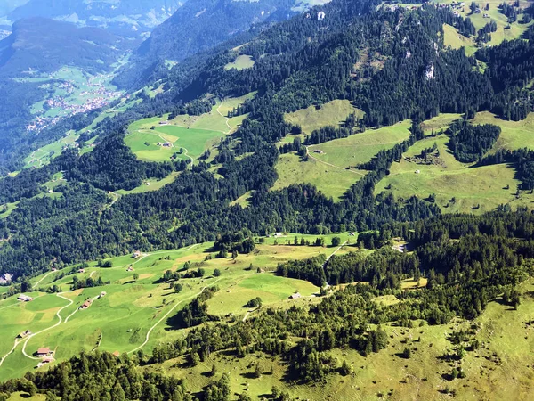 Buochserhorn dağının yamaçlarında ve Lucerne gölü veya Vierwaldstaetersee gölü (Vierwaldstattersee), Buochs - Nidwalden Kantonu, İsviçre'nin eteklerindeki alp otlatı ve otlakları