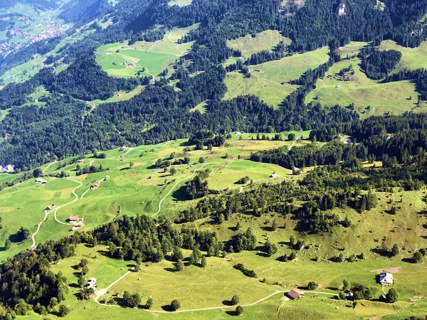 Buochserhorn dağının yamaçlarında ve Lucerne gölü veya Vierwaldstaetersee gölü (Vierwaldstattersee), Buochs - Nidwalden Kantonu, İsviçre'nin eteklerindeki alp otlatı ve otlakları