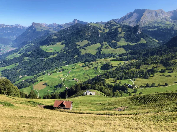 Buochserhorn dağının yamaçlarında ve Lucerne gölü veya Vierwaldstaetersee gölü (Vierwaldstattersee), Buochs - Nidwalden Kantonu, İsviçre'nin eteklerindeki alp otlatı ve otlakları