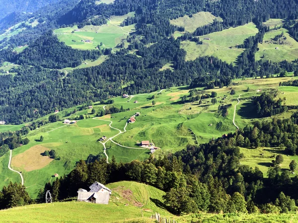 Buochserhorn dağının yamaçlarında ve Lucerne gölü veya Vierwaldstaetersee gölü (Vierwaldstattersee), Buochs - Nidwalden Kantonu, İsviçre'nin eteklerindeki alp otlatı ve otlakları