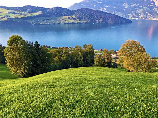 Almen Und Wiesen Den Hängen Des Buochserhorns Und Vierwaldstätersee Boxen — Stockfoto