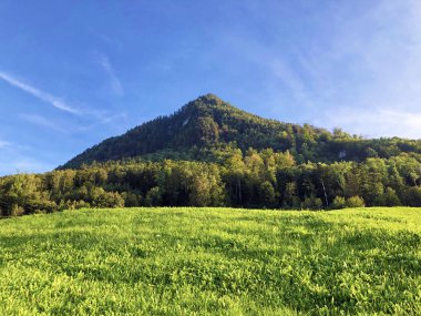Karışık ormanlı Nollen dağı zirvesi ve Lucerne Gölü veya Vierwaldstaetersee Gölü (Vierwaldstattersee veya Vierwaldsttersee), Buochs - Nidwalden Kantonu, İsviçre
