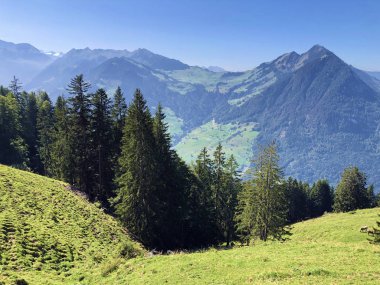 Buochserhorn dağının yamaçlarında ve Lucerne Gölü veya Vierwaldstaetersee Gölü (Vierwaldstattersee), Buochs - İsviçre