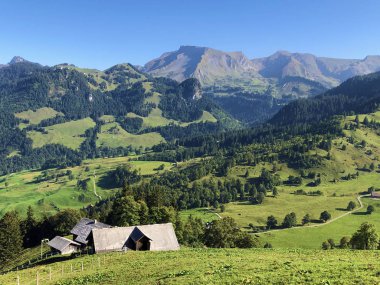 Buochserhorn dağının yamaçlarında ve Lucerne Gölü veya Vierwaldstaetersee Gölü (Vierwaldstattersee), Buochs - İsviçre