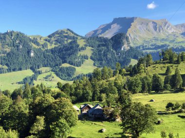Buochserhorn dağının yamaçlarında ve Lucerne Gölü veya Vierwaldstaetersee Gölü (Vierwaldstattersee), Buochs - İsviçre