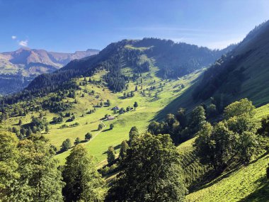 Lucerne Gölü veya Vierwaldstaetersee Gölü (Vierwaldstattersee), Buochs - İsviçre 'nin Nidwalden Kantonu