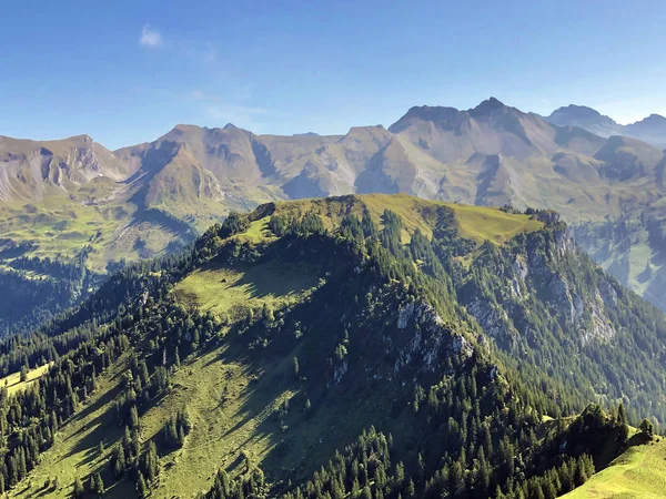 ルツェルン湖またはヴィエルヴァルトシュテーター湖 Vierwaldstattersee の上の草で覆われた高山のピークMusenalp Buochs Canton Nidwalden Switzerland — ストック写真