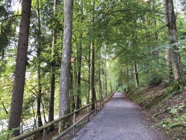 Üç Pont dinlenme alanı veya Das Naherholungsgebiet Drei Weihern, Drei Weieren - St. Gallen, İsviçre