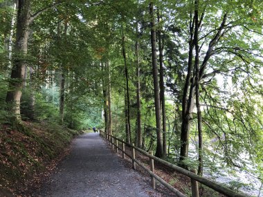 Üç Pont dinlenme alanı veya Das Naherholungsgebiet Drei Weihern, Drei Weieren - St. Gallen, İsviçre