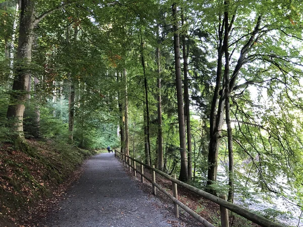 Üç Pont dinlenme alanı veya Das Naherholungsgebiet Drei Weihern, Drei Weieren - St. Gallen, İsviçre