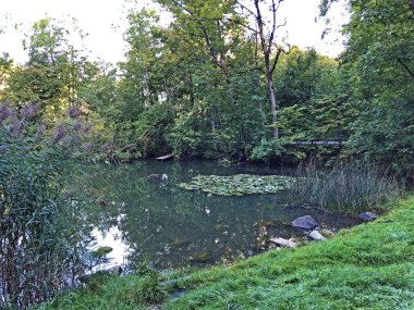 Eichweier veya Eichweiher göleti (Üç Pont dinlenme alanı veya Das Naherholungsgebiet Drei Weihern), Drei Weieren - St. Gallen, İsviçre