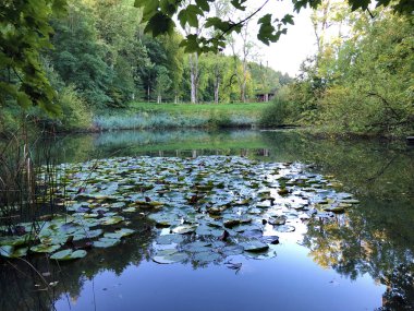 Eichweier veya Eichweiher göleti (Üç Pont dinlenme alanı veya Das Naherholungsgebiet Drei Weihern), Drei Weieren - St. Gallen, İsviçre