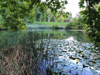 Eichweier veya Eichweiher göleti (Üç Pont dinlenme alanı veya Das Naherholungsgebiet Drei Weihern), Drei Weieren - St. Gallen, İsviçre