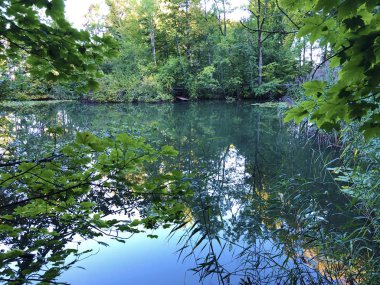 Eichweier veya Eichweiher göleti (Üç Pont dinlenme alanı veya Das Naherholungsgebiet Drei Weihern), Drei Weieren - St. Gallen, İsviçre
