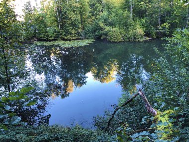 Eichweier veya Eichweiher göleti (Üç Pont dinlenme alanı veya Das Naherholungsgebiet Drei Weihern), Drei Weieren - St. Gallen, İsviçre