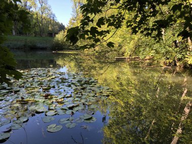 Eichweier veya Eichweiher göleti (Üç Pont dinlenme alanı veya Das Naherholungsgebiet Drei Weihern), Drei Weieren - St. Gallen, İsviçre