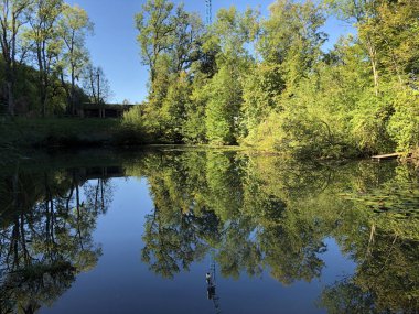 Eichweier veya Eichweiher göleti (Üç Pont dinlenme alanı veya Das Naherholungsgebiet Drei Weihern), Drei Weieren - St. Gallen, İsviçre