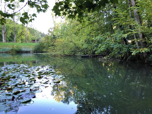 Stagno Eichweier Eichweiher Zona Ricreativa Three Ponds Das Naherholungsgebiet Drei — Foto Stock