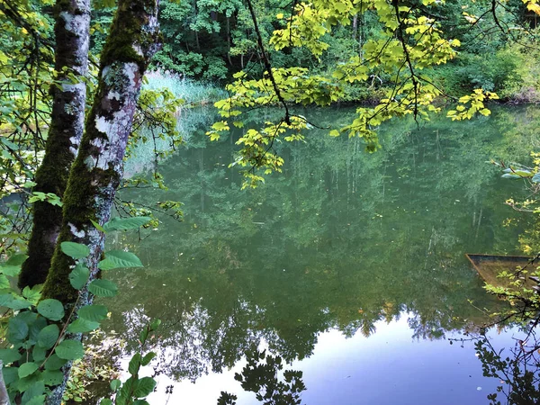 Eichweier Oder Eichweiher Drei Teiche Naherholungsgebiet Drei Weihern Drei Weeren — Stockfoto